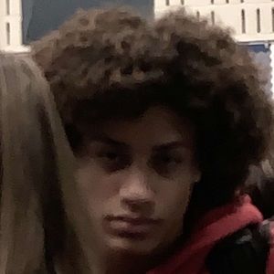 Meet your Posher, Herbie